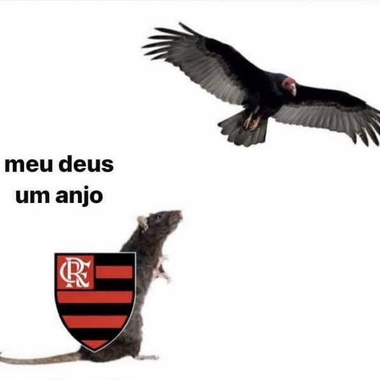 lace do jorge perlingeiro tweet media