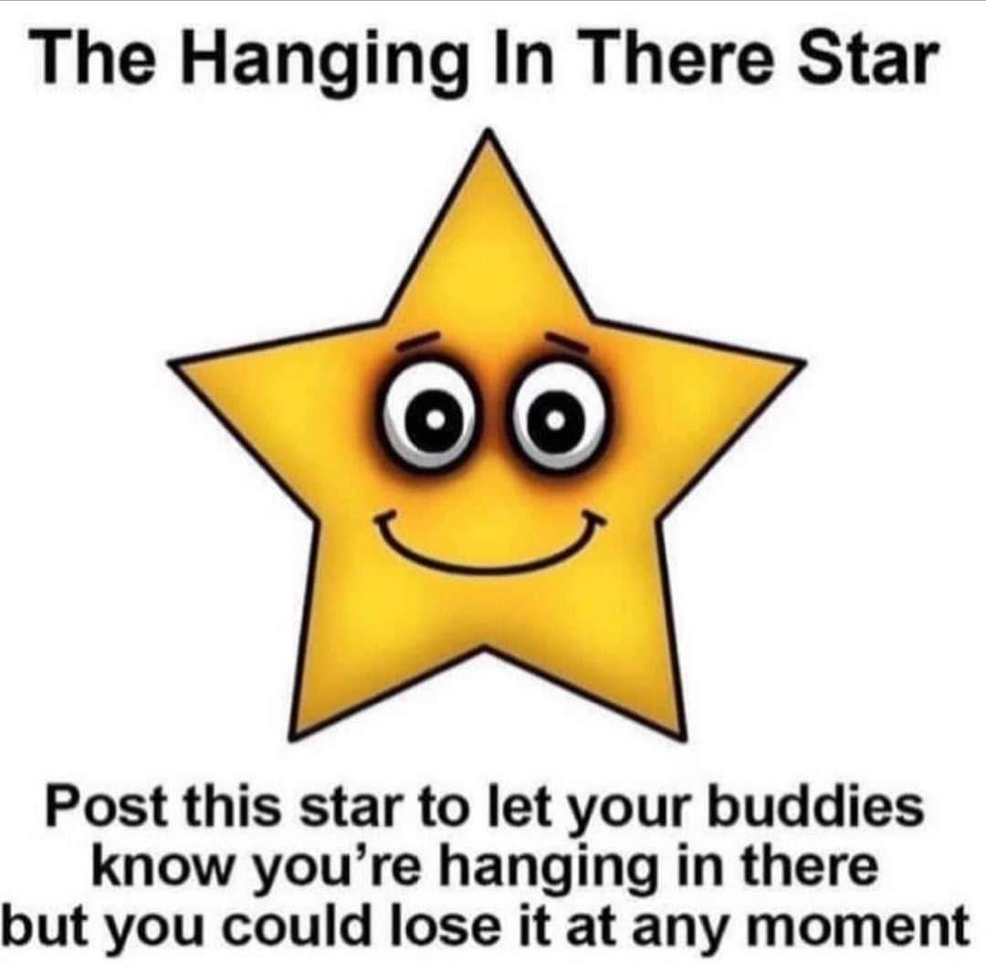 нσѕтιℓє✨нєѕѕιαη tweet media