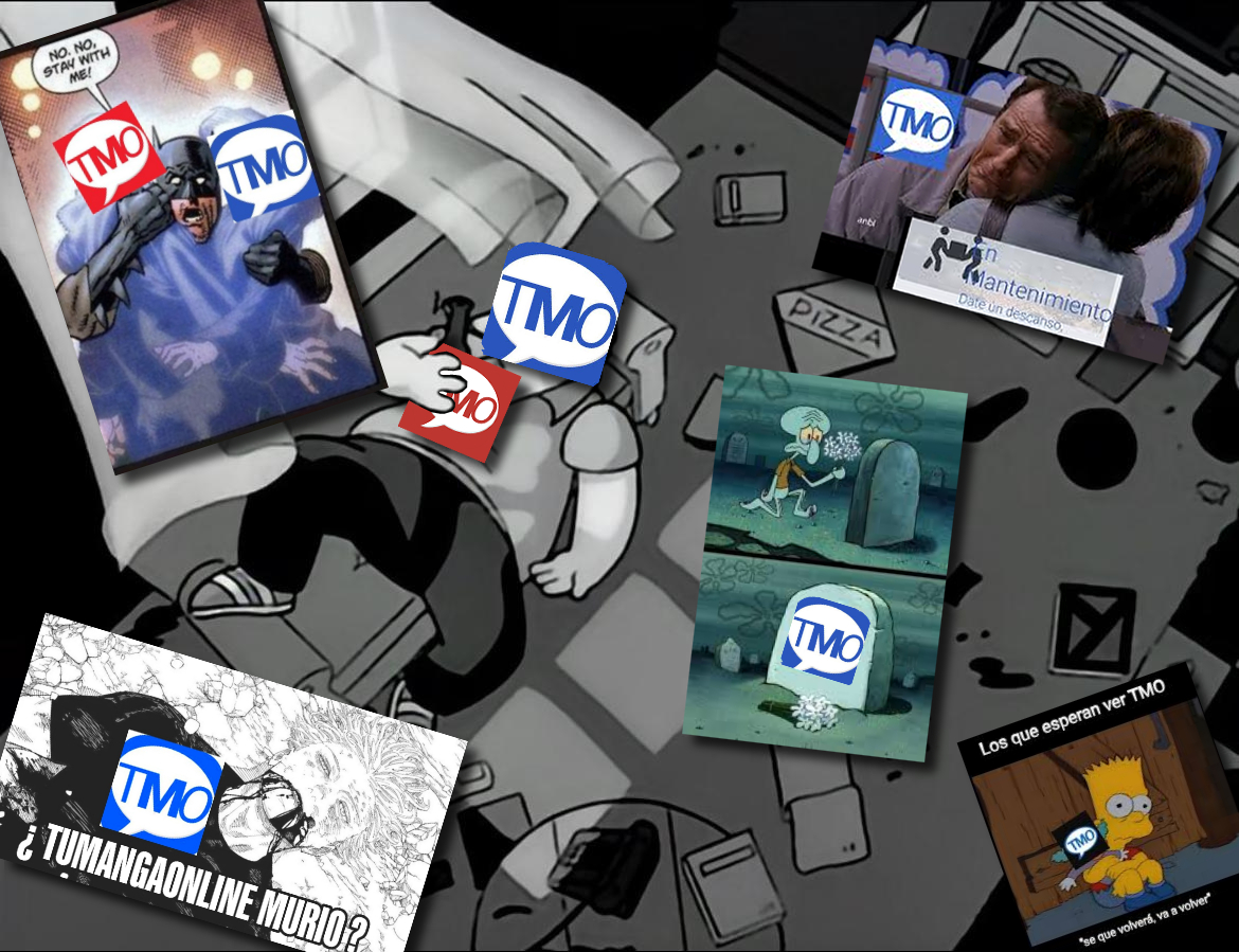 Vizard X tweet media