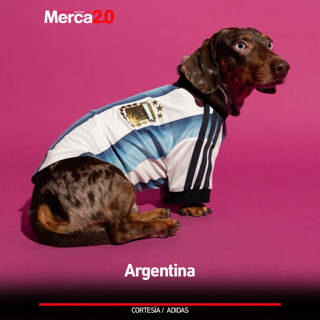 Merca2.0 tweet media