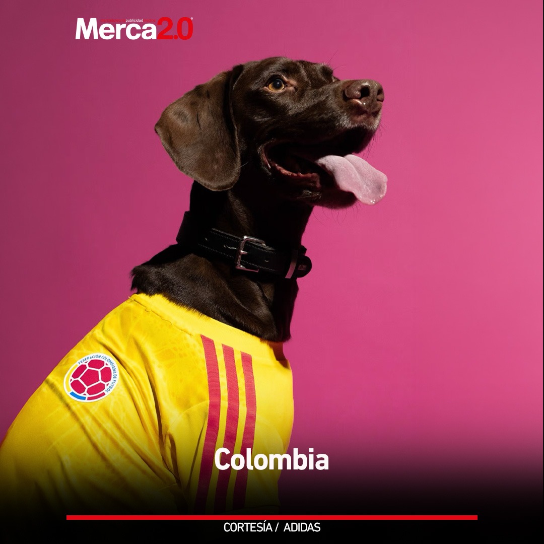 Merca2.0 tweet media