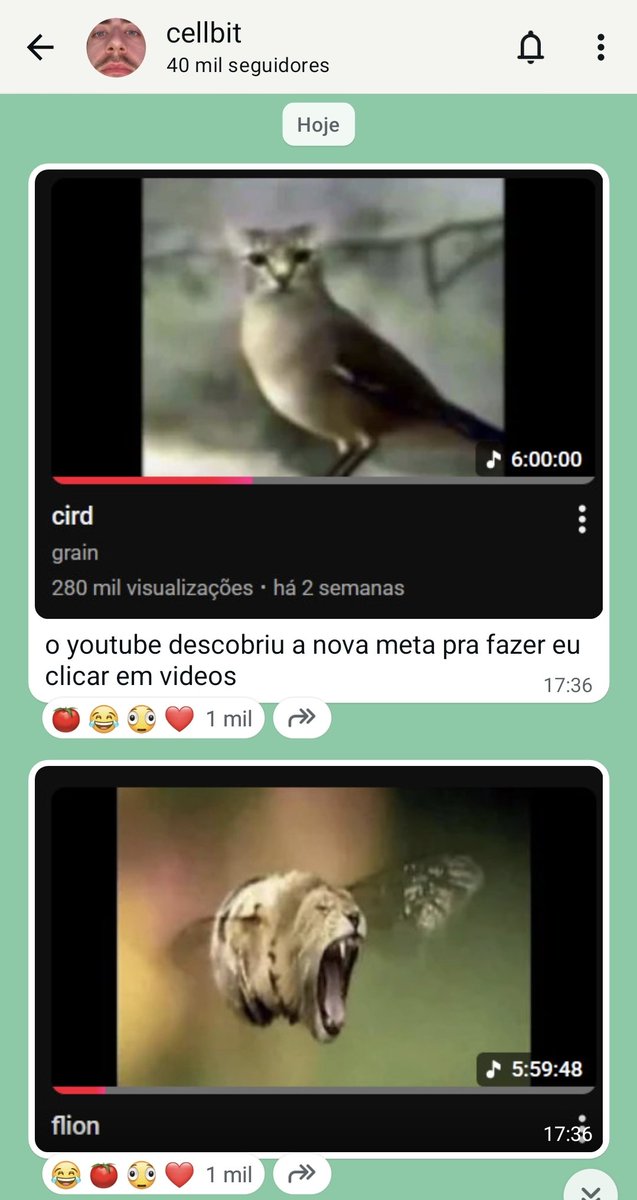 CellbitENG's tweet photo. 🫧 Cellbit sent a message on Whatsapp!

'youtube found out a new technique to make me click on videos'

'wth denis' https://t.co/VvoMep9jv2