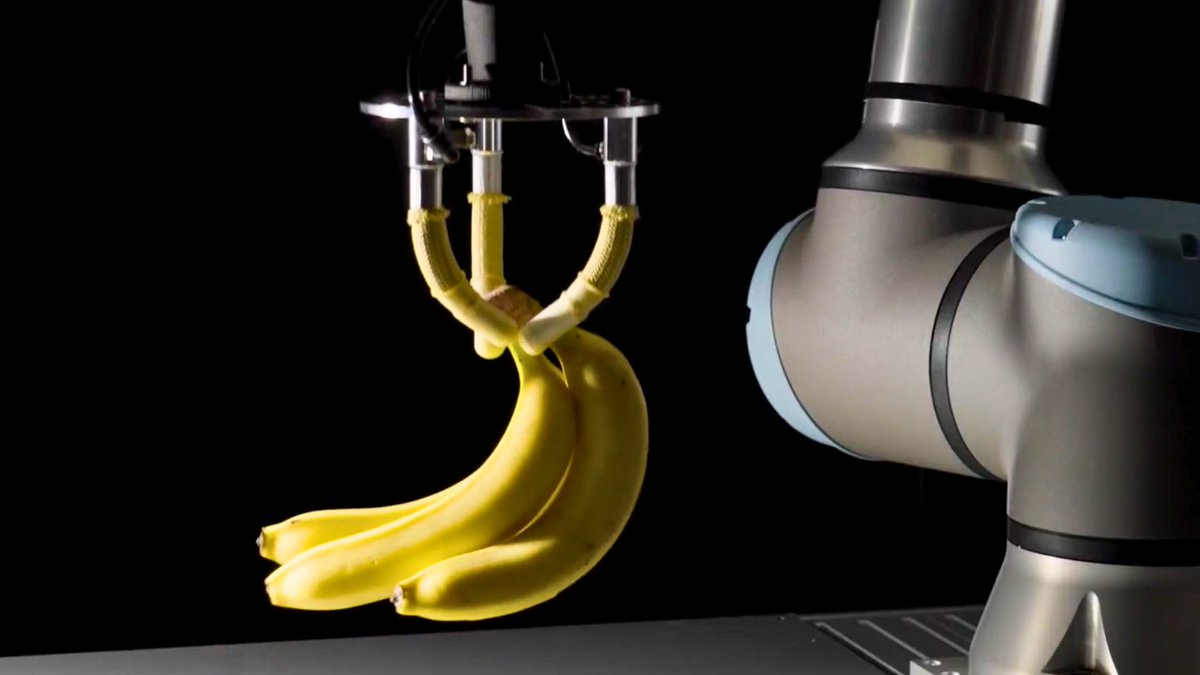 Muscle Robot Artificial Muscles Are About to Make Lifelike Robots and Cyborgs ...