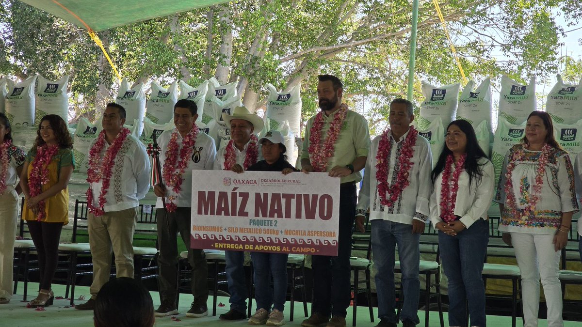 ACCIMMYT's tweet photo. 🌱 En #Oaxaca seguimos impulsando acciones para fortalecer el campo junto a #SEFADER.

Capacitación, maquinaria y herramientas que mejoran la producción y la toma de decisiones en territorio.

Con soluciones basadas en ciencia, avanzamos hacia sistemas más resilientes. https://t.co/NMQLG7MveK