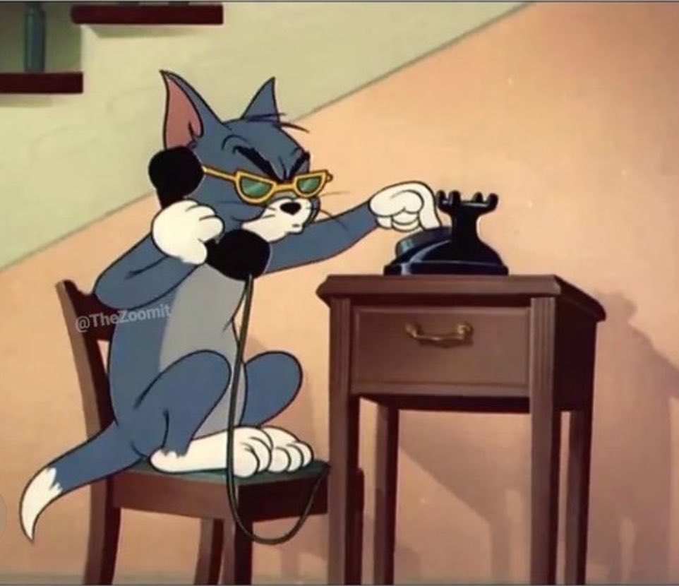 Malihe kabiri🎒 tweet media