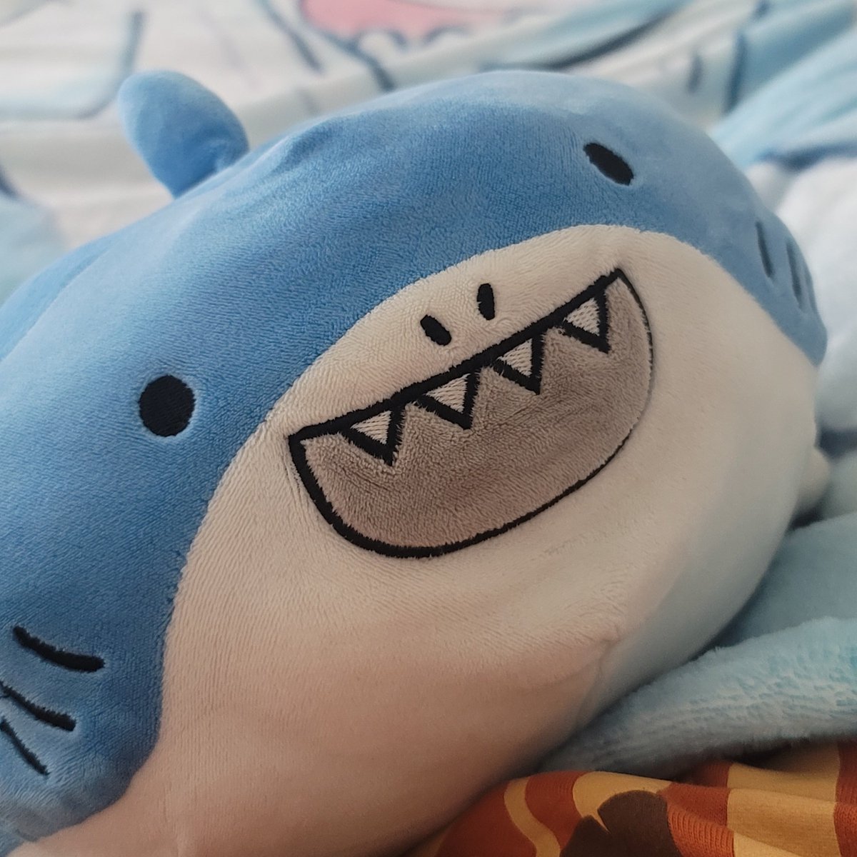 ImperiumOfSharks tweet media