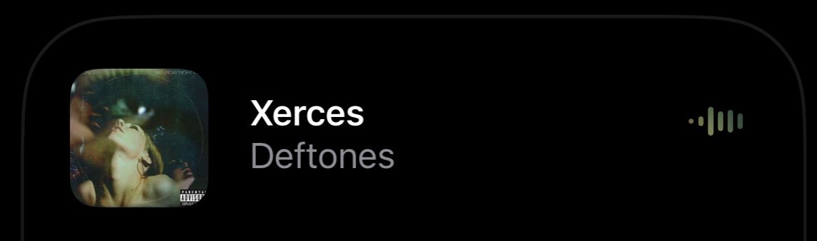 ˚₊‧꒰ა rina ໒꒱ ‧₊˚ tweet media