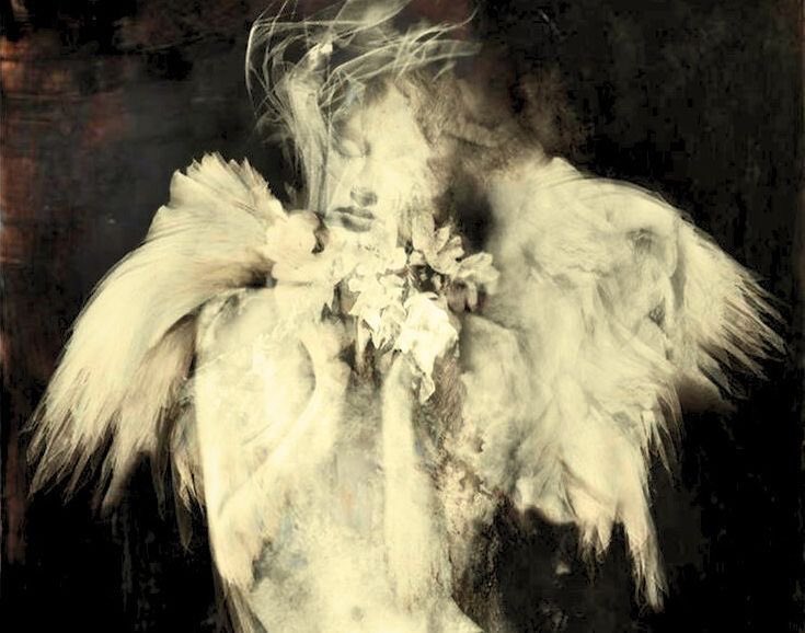 Ꮧꮇᏸꮛꮢ tweet media