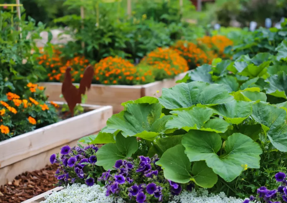 bhamwashrealtor's tweet image. Small space vegetable gardening tips everyone should know 

zurl.co/zpEY1 
 
#MichelleHarrington #Compass #CompassBellingham #RealEstate