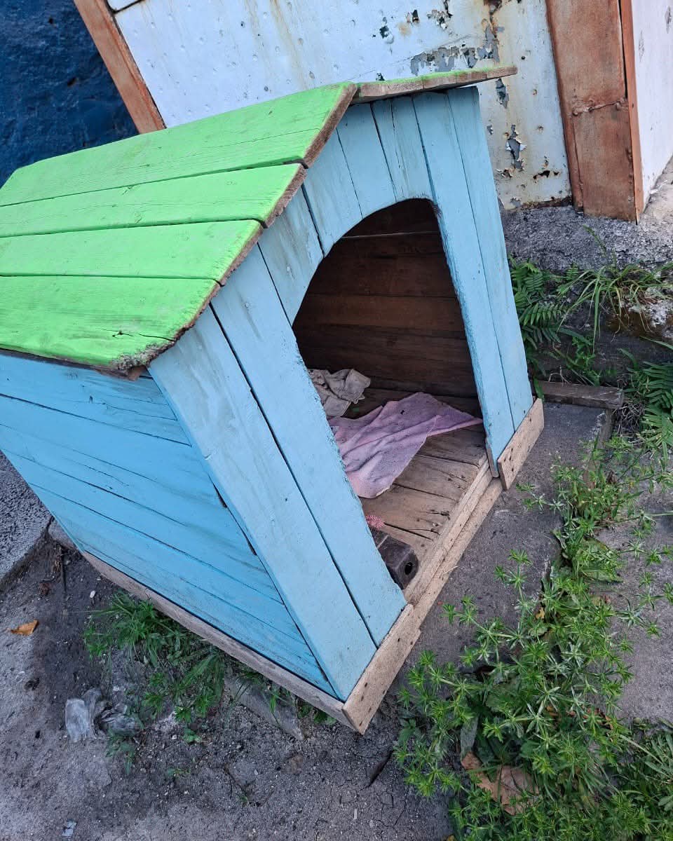 Vuelvo a solicitar de su ayuda por favor 🙏 
Ya publique una vez y la respuesta fue CERO 😔
Necesito ayuda por favor para movilizar esta casita qué será para la Negrita qué atropelló meses atrás un Uber, ya vienen las lluvias y es urgente para que ella se proteja 🥺 
Habrá