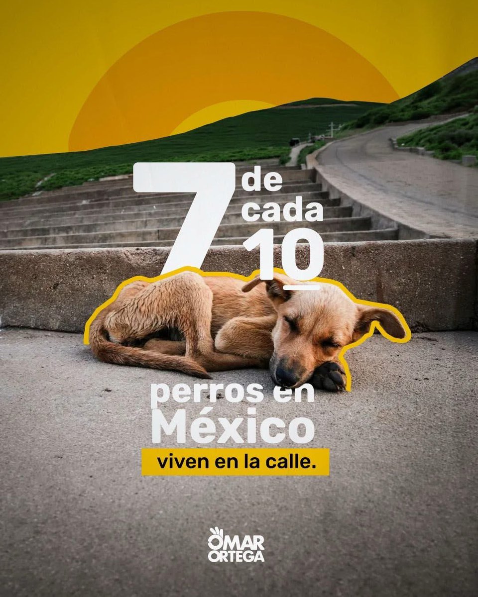 Omar Ortega Álvarez tweet media