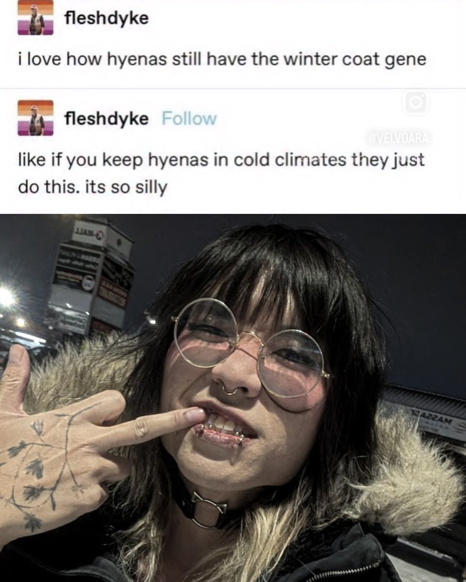 victryena 🪾 tweet media