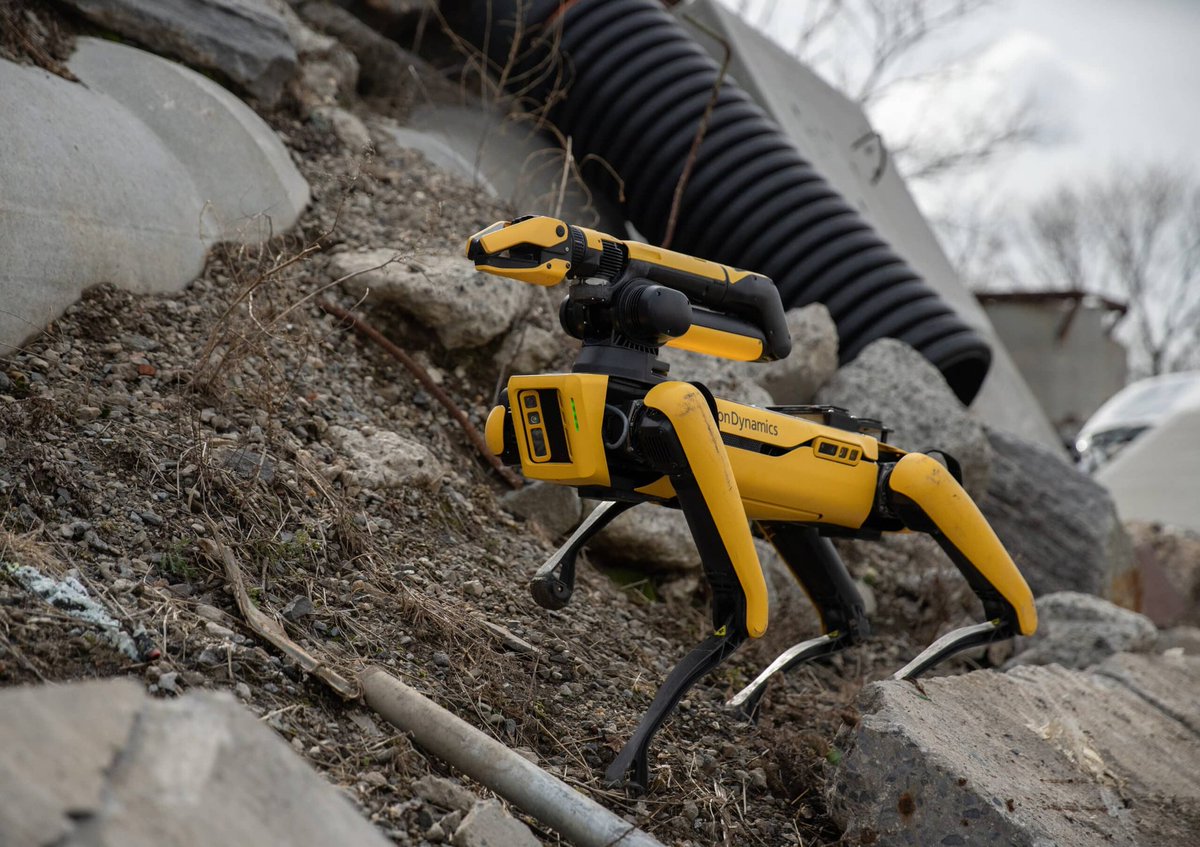 Ms. Peep 《PET》 tweet media