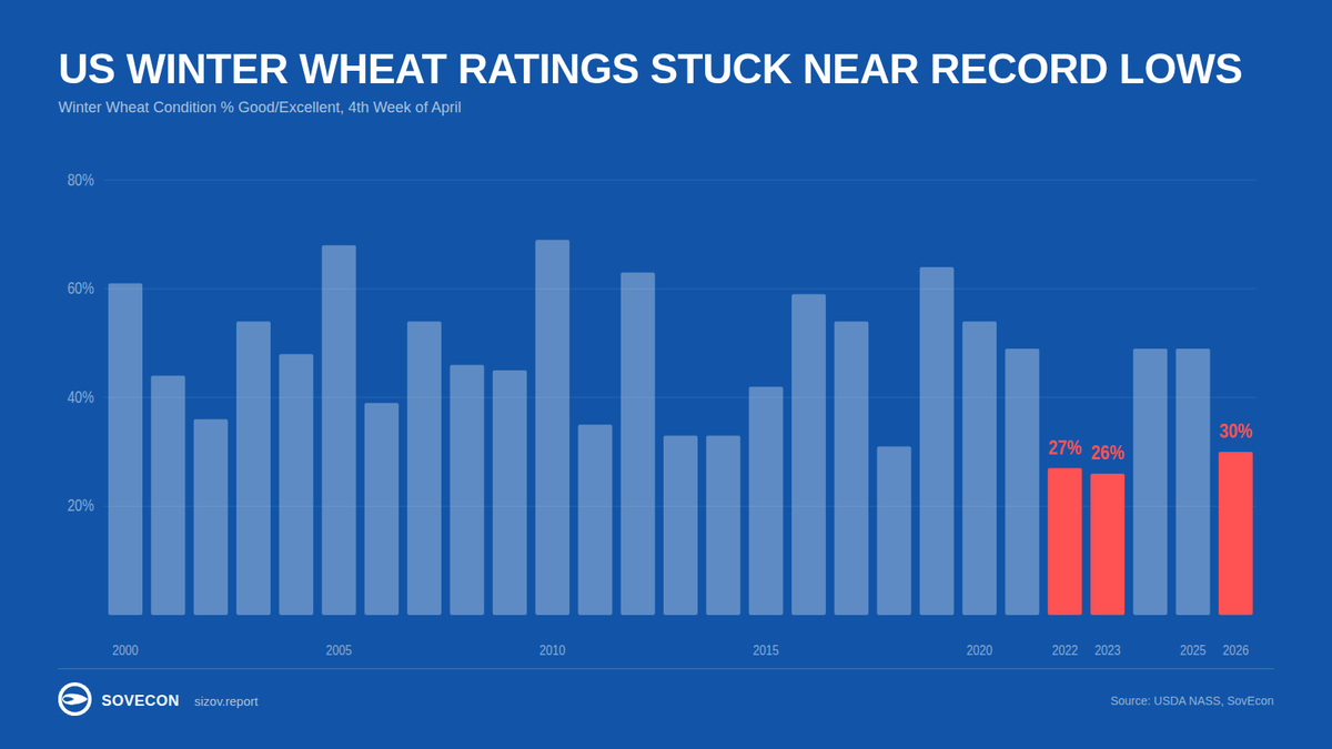 sizov_andre's tweet image. US winter #wheat is holding on, but only just.

Just 30% is rated good/excellent. That is better than another drop after the freeze. But it still leaves the crop only a few points above record-low territory.

That keeps weather risk very much alive.

#oatt #agwx #sizovreport