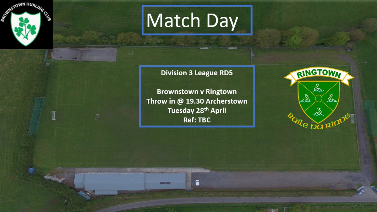 Brownstown Hurling Club tweet media