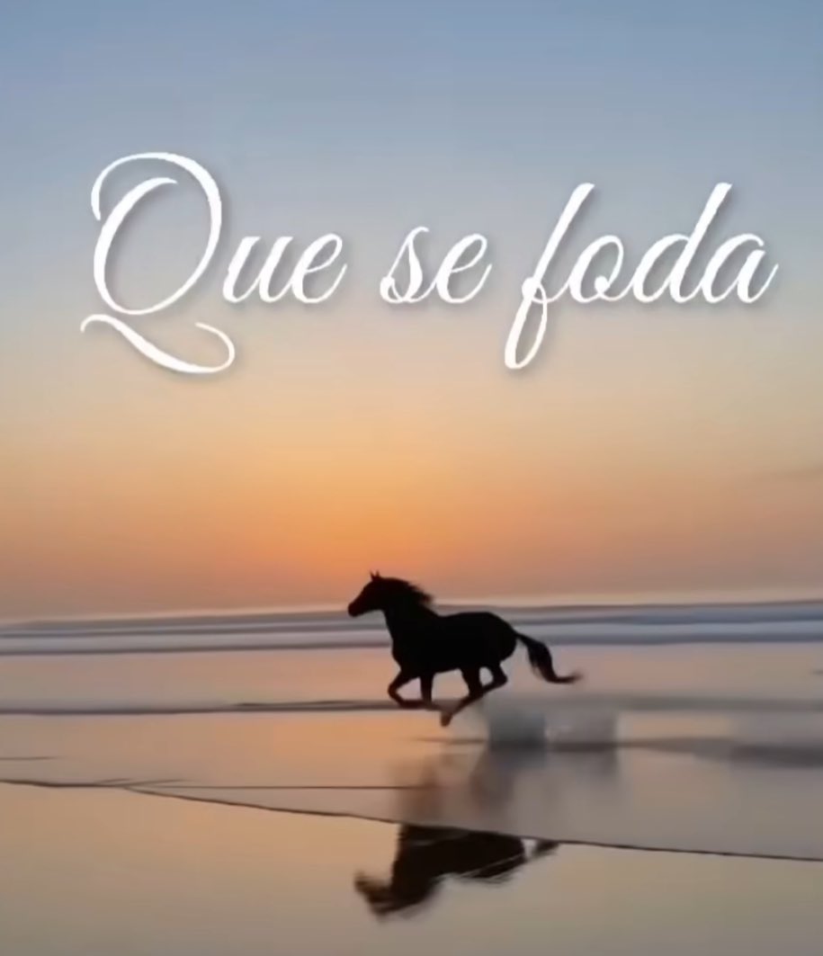 𝙒𝘼𝙇𝙇 𝙍𝙊𝙓𝙊ᶠᶠᶜ🇭🇺💜 tweet media