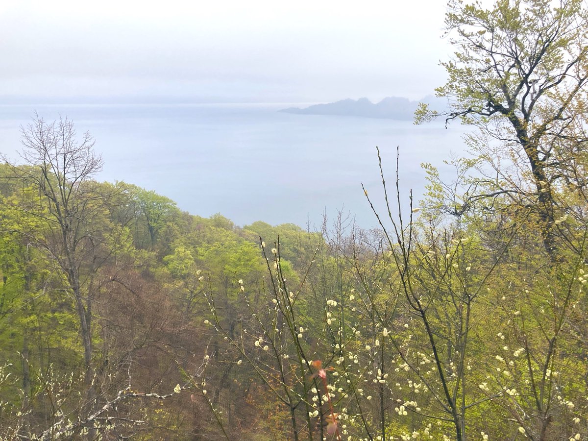 十和田湖駅の食堂とおみやげ屋さん tweet media