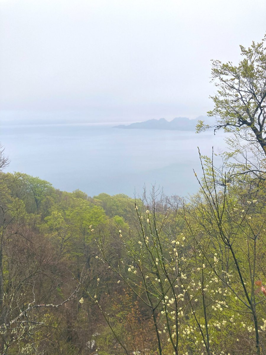 十和田湖駅の食堂とおみやげ屋さん tweet media