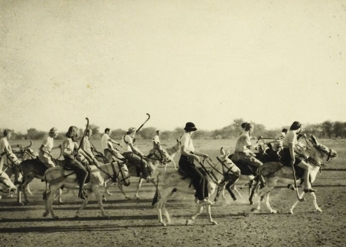 Sudan Archive tweet media