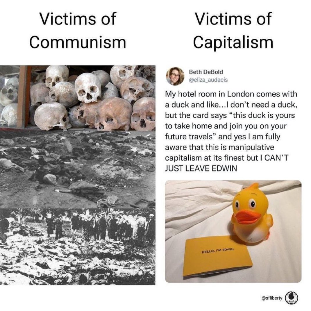 The Rabbit Hole tweet media