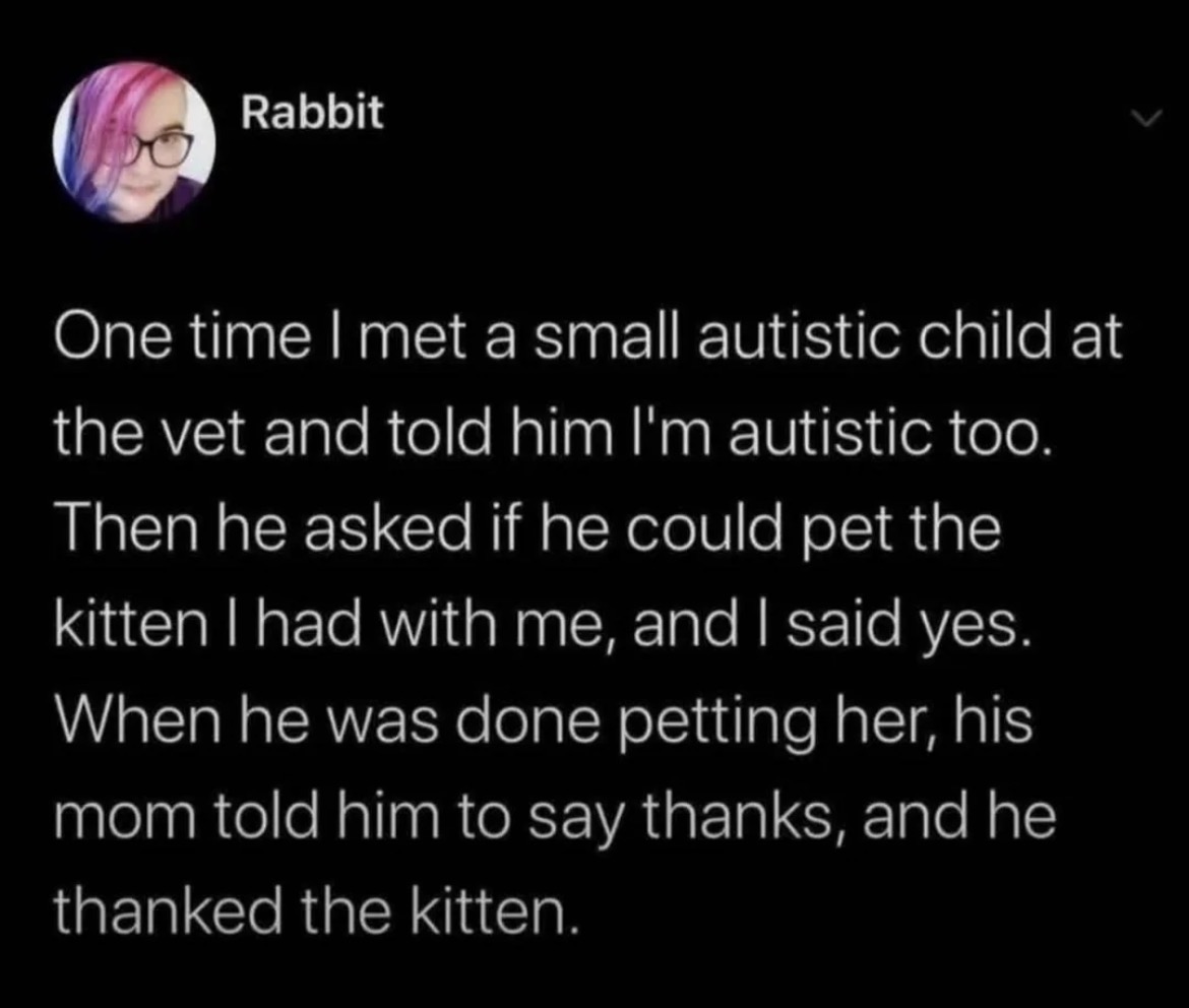 positive side of X 🌞 tweet media