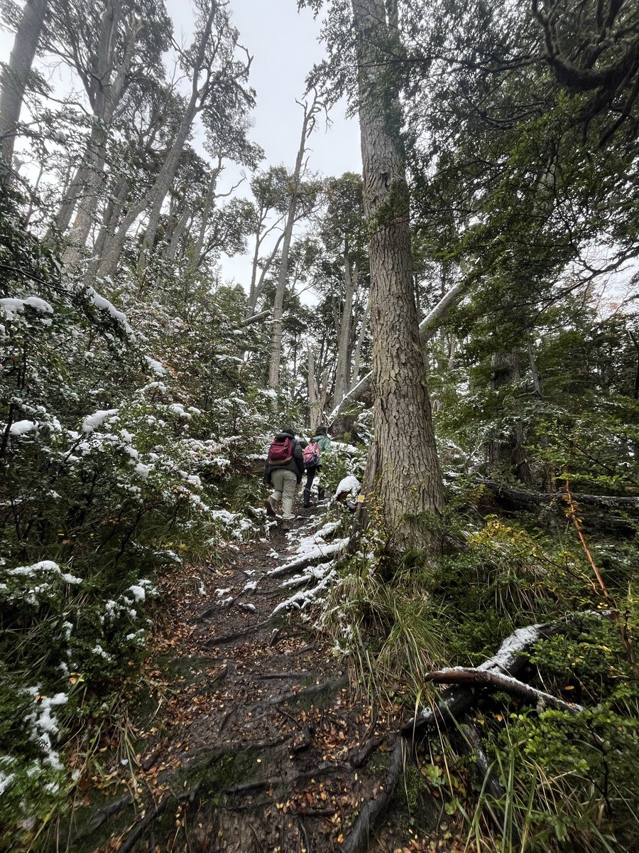 Jazmín del Monte tweet media