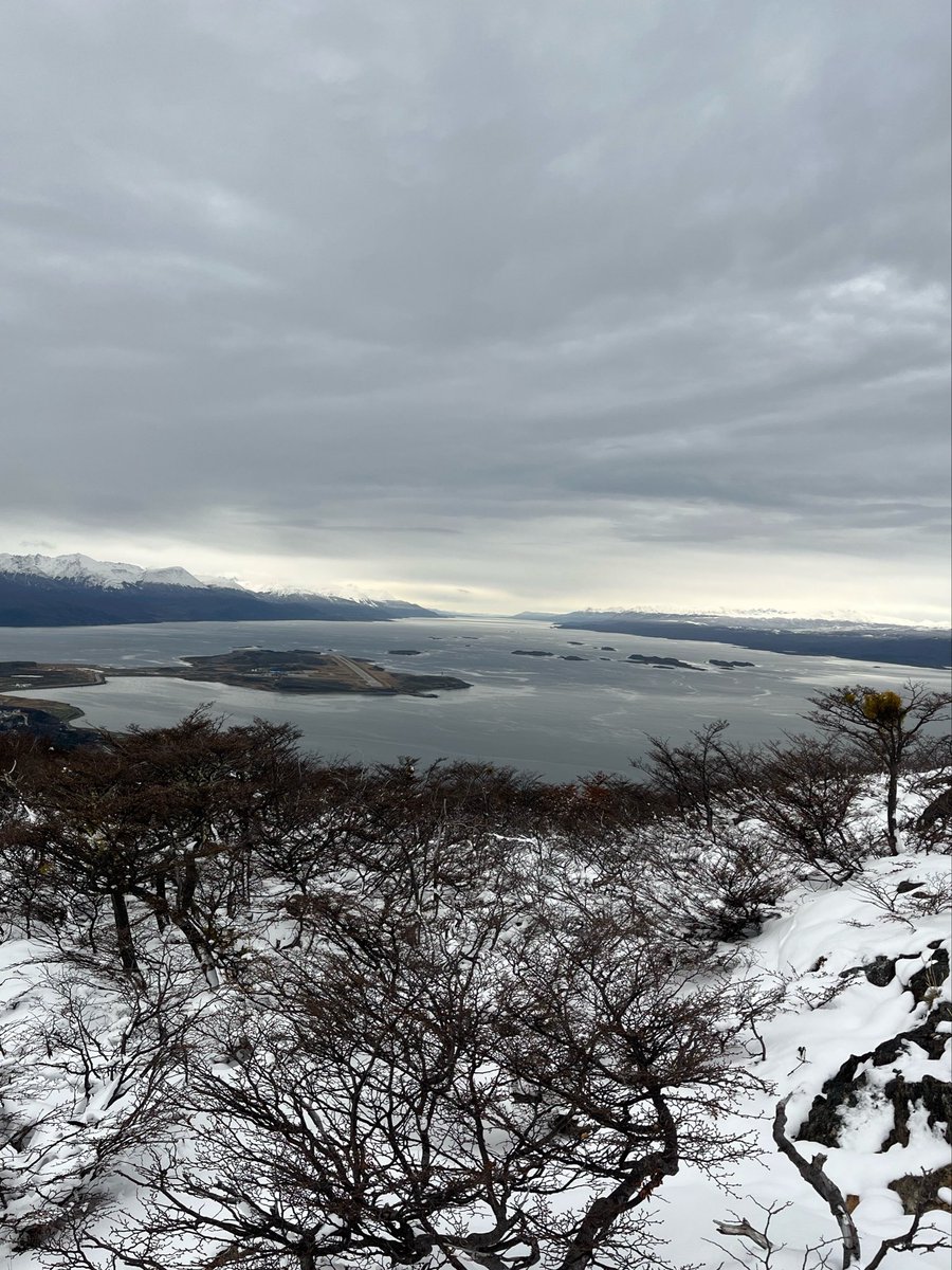 Jazmín del Monte tweet media