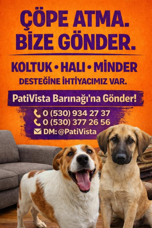 Zülal Kutluer tweet media