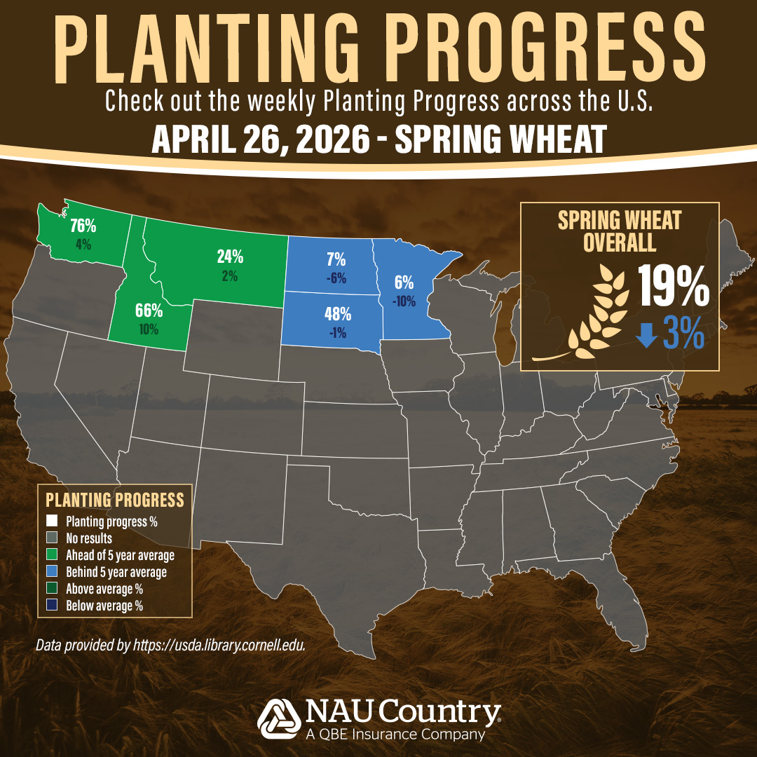 As the 2026 planting season kicks into high gear, farmers across the country are making strides in the field! Check out the latest USDA data showing crop planting progress for grain sorghum, cotton, and spring wheat by state. Learn more here esmis.nal.usda.gov/publication/cr…. #Plant26