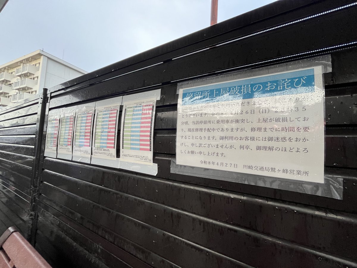 鷺31 tweet media