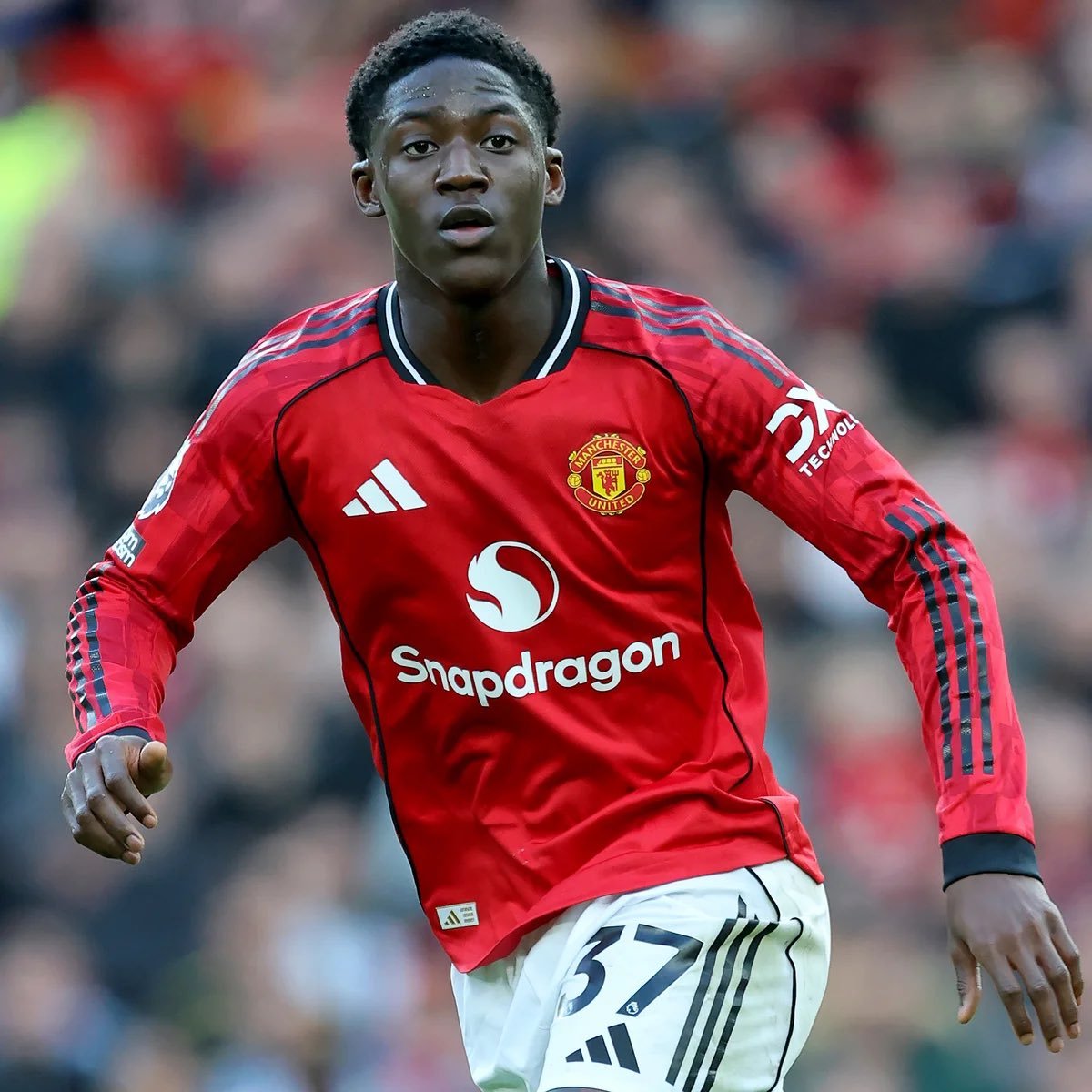 The Touchline | 𝐓 tweet media