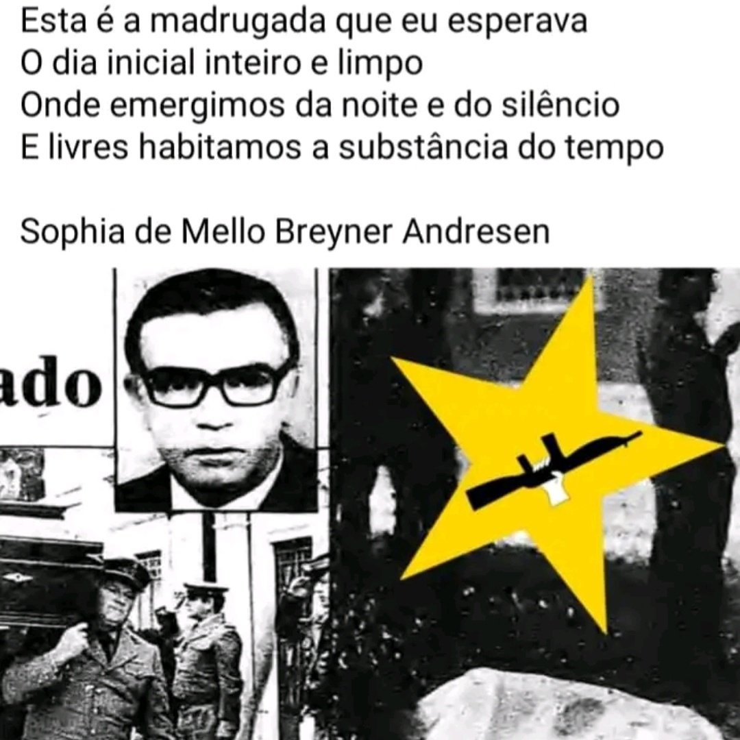 Gitana Gitana tweet media