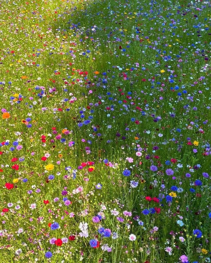 la⁷ ──★ ˙ IT’S JAYDAY ྀིྀི tweet media