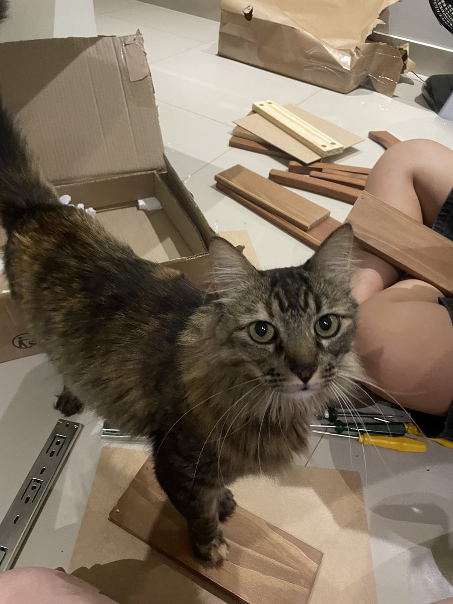 ju!es ⋆✴︎˚｡⋆ tweet media