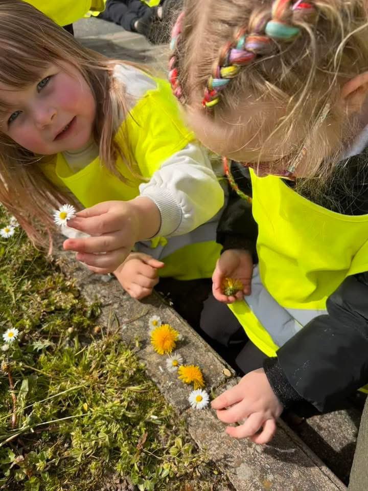 Dailly Primary School and EYC tweet media