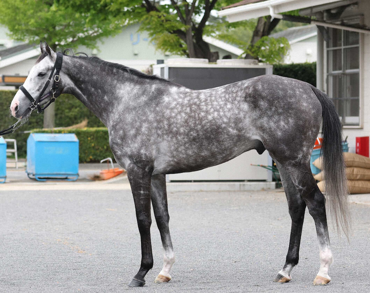 WIN!競馬_総合【公式】 tweet media