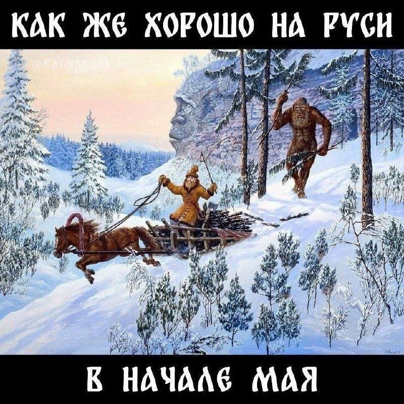 Рыжая 3,14сечка tweet media