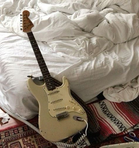 Mika the Cat tweet media