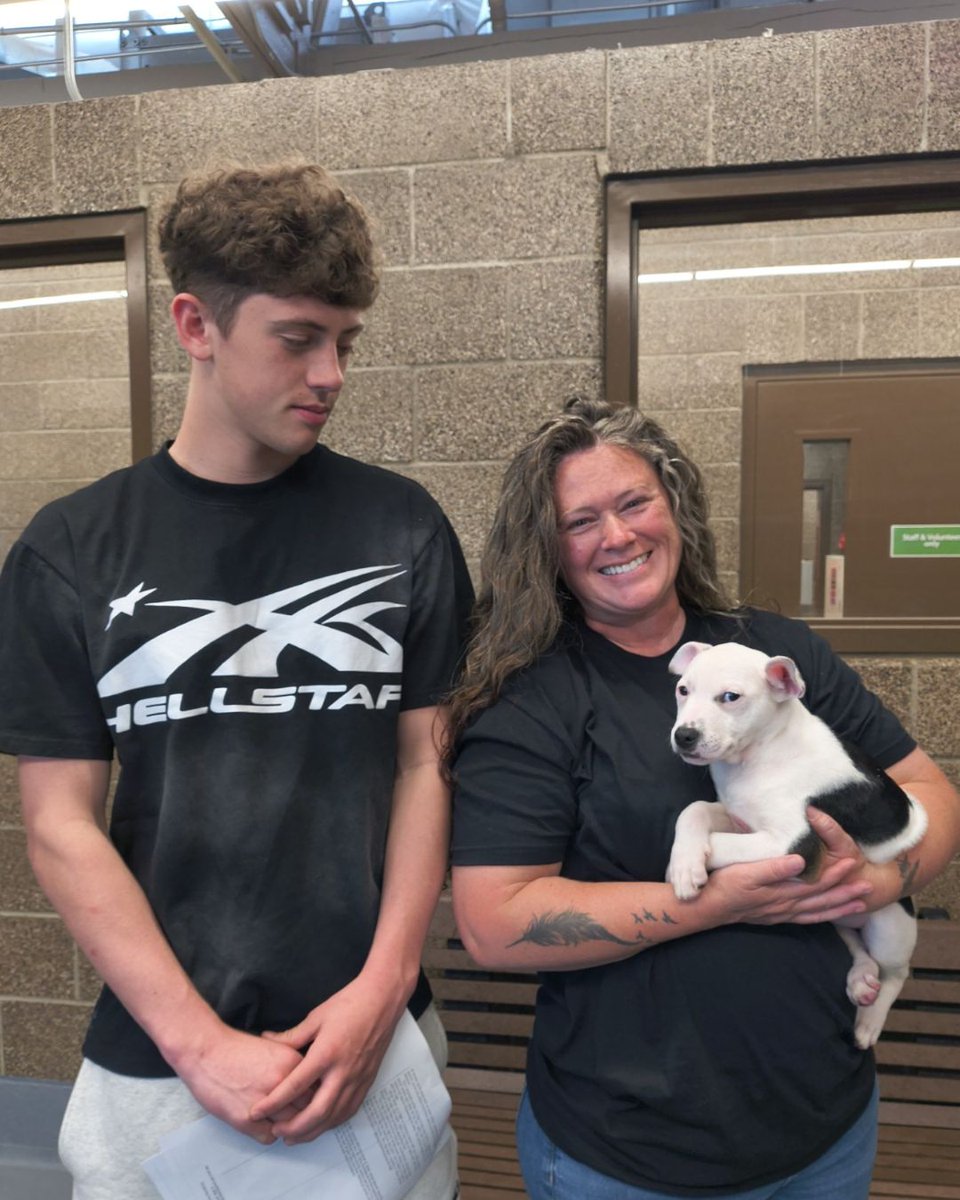 Greenhill Humane tweet media