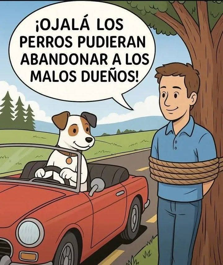 Más Ciencia tweet media