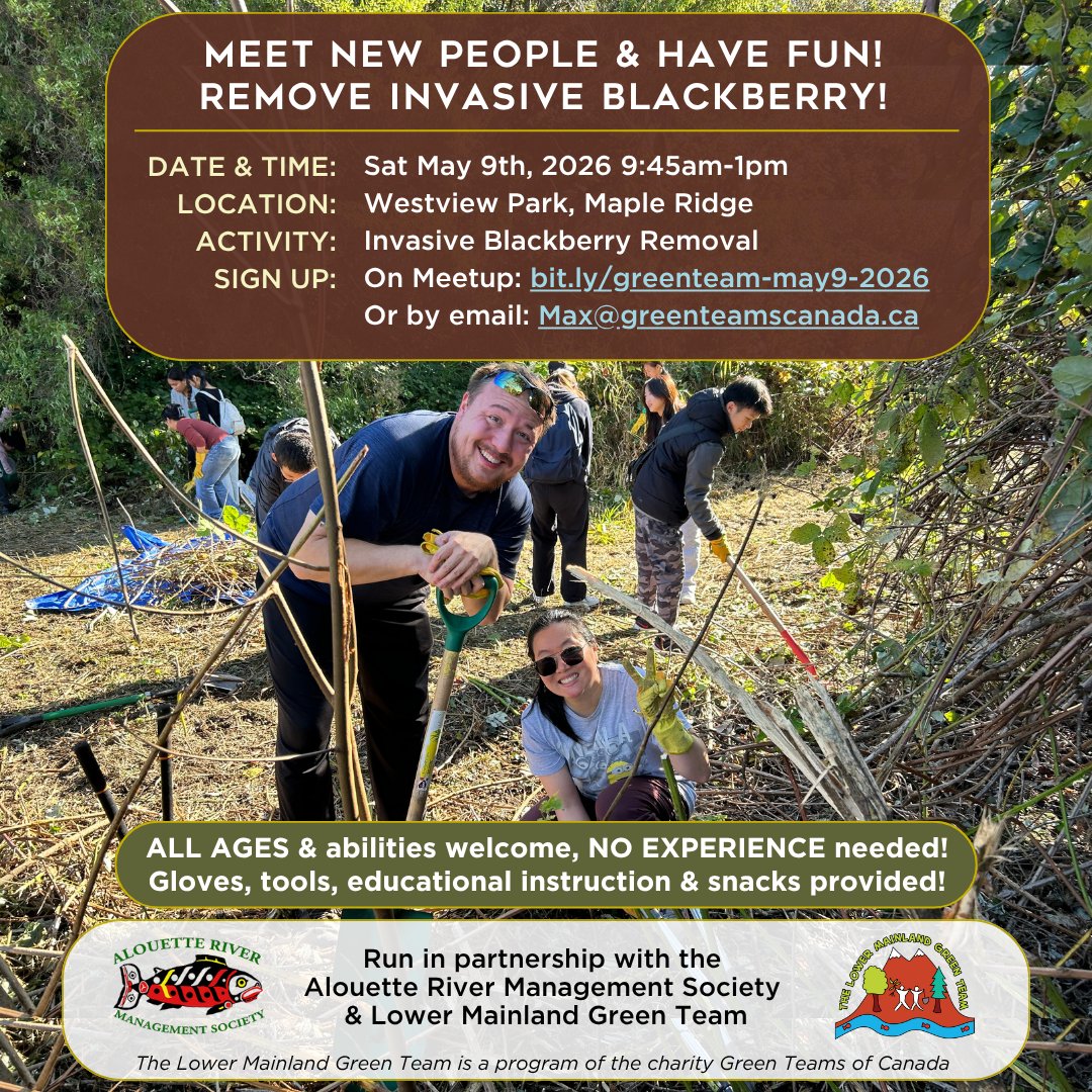 LMGreenTeam's tweet image. Make new friends &amp;amp; have fun removing invasive blackberry on Sat May 9, 9:45-1pm at Westview Park in #MapleRidge!
💚 All ages welcome, NO EXPERIENCE needed!
😋 Gloves, tools, education, &amp;amp; snacks provided!
➡️SIGN UP: bit.ly/greenteam-may9…

#CommunityActivity #Nature #invasives