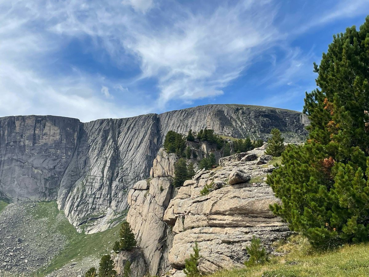 Майдар хотын засаг дарга tweet media