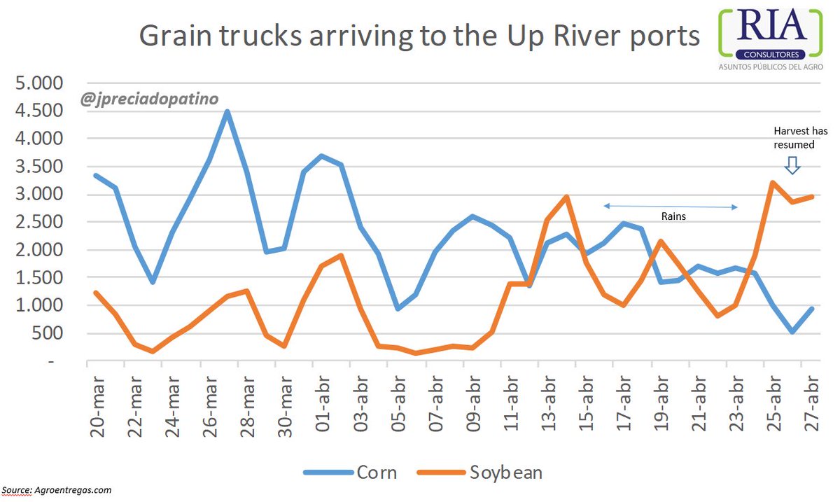 jpreciadopatino's tweet image. After a week of rains🌧️⛈️, #soybean harvest has resumed and trucks 🚛🚛moving the bean to the Up River ports and plants far exceed the number of #corn trucks #oilseeds #vegoils #agribusiness #cereals