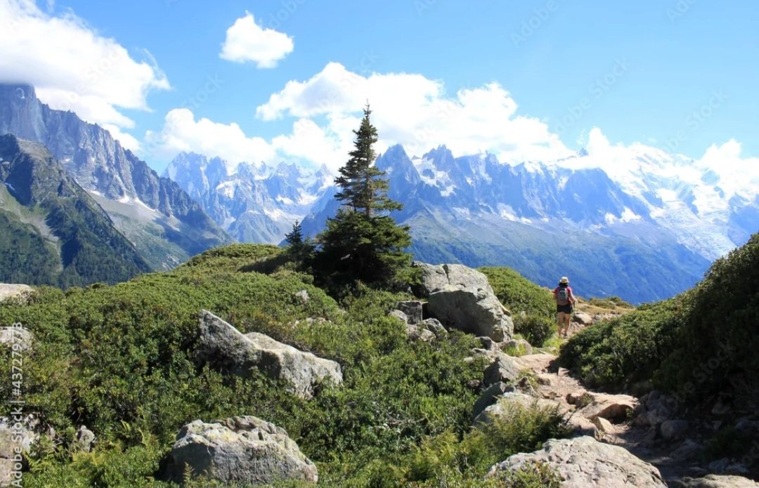Travelsandphoto's tweet image. Randonnée sympa à Chamonix. 
Photographie numérique à retrouver ici :

stock.adobe.com/fr/images/cham…

#chamonix #montblanc #hiking