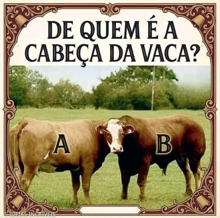 Cesar JB tweet media