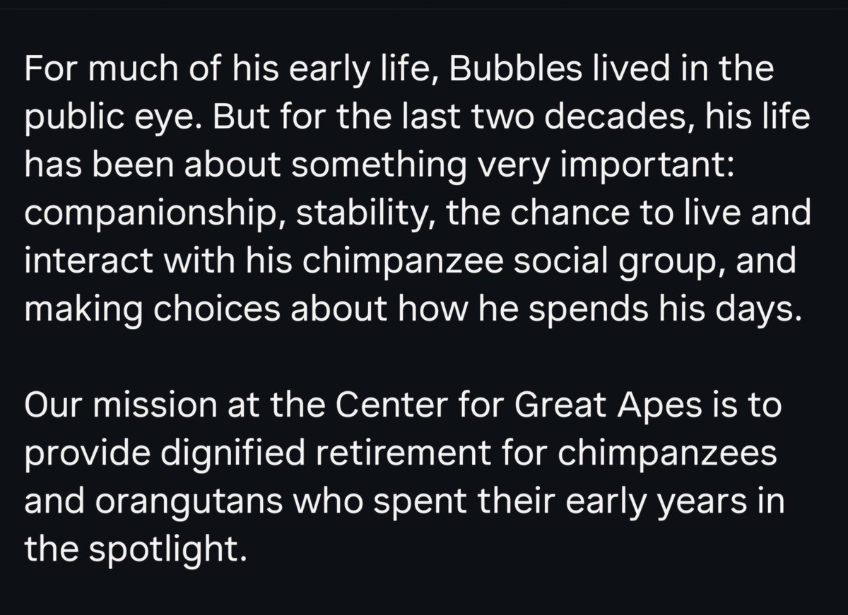HaaftenRenate's tweet image. And here he is, picture from today, Bubbles 43 years old and still going strong. The Center For Great Apes made a beautiful post about him today. You can read it here. 
#MichaelJackson #Bubbles #Friends #MichaelMovie