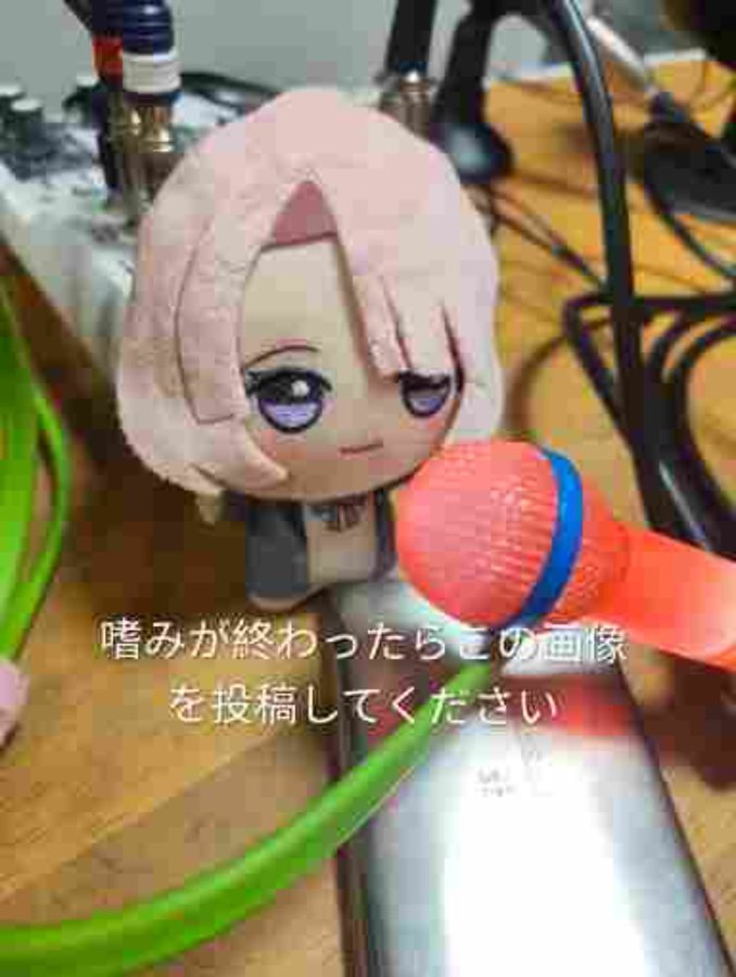 たけうちにぱっ 🌸🐈 (@guitarswinging) on Twitter photo 