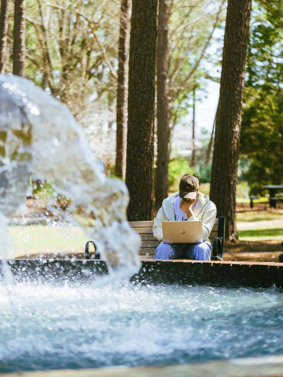 USCAiken's tweet image. One last stroll around campus before class. 
#USCA #Campus