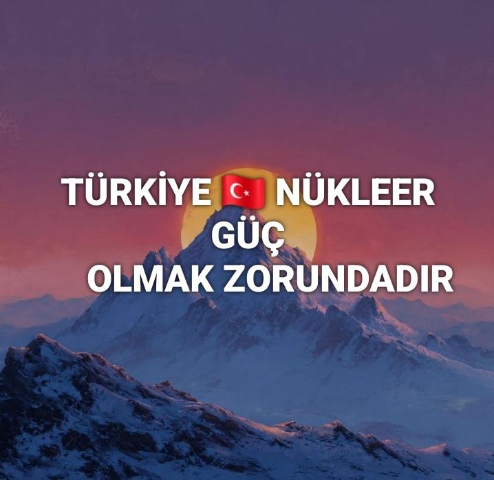 halim korlu tweet media