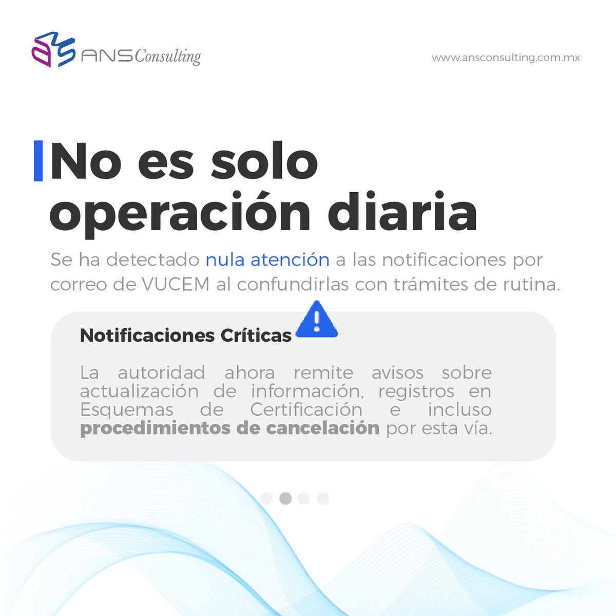 ANS Consulting tweet media